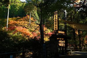 Alojamiento - Momijiya Bekkan Kawanoiori