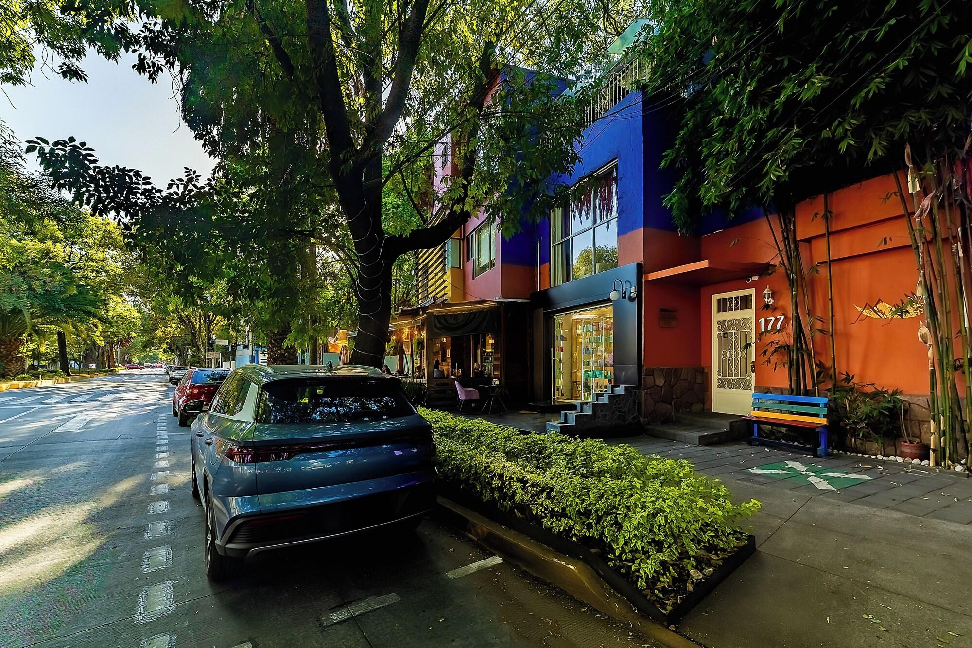 Varios OYO Casa Anzures Mexico City