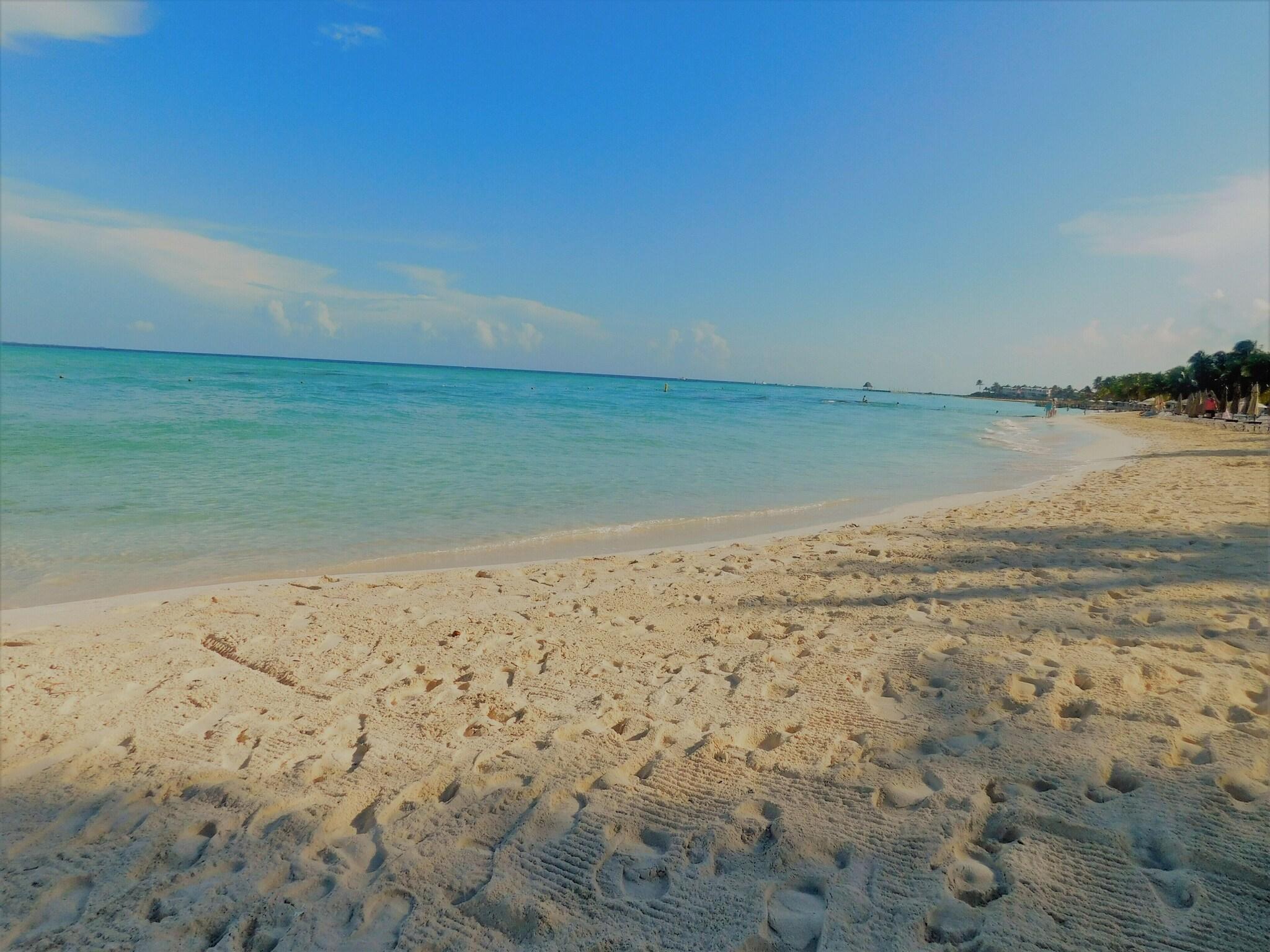Playa Nautibeach Condos