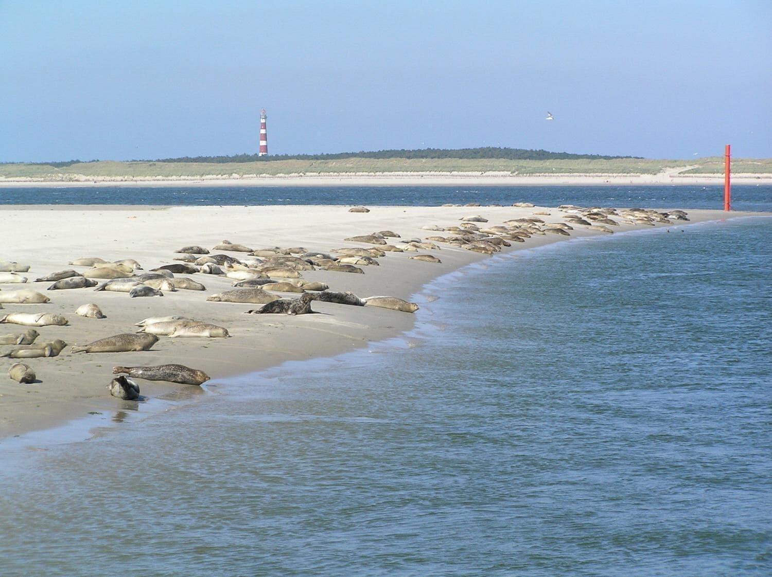 Playa Sier aan Zee