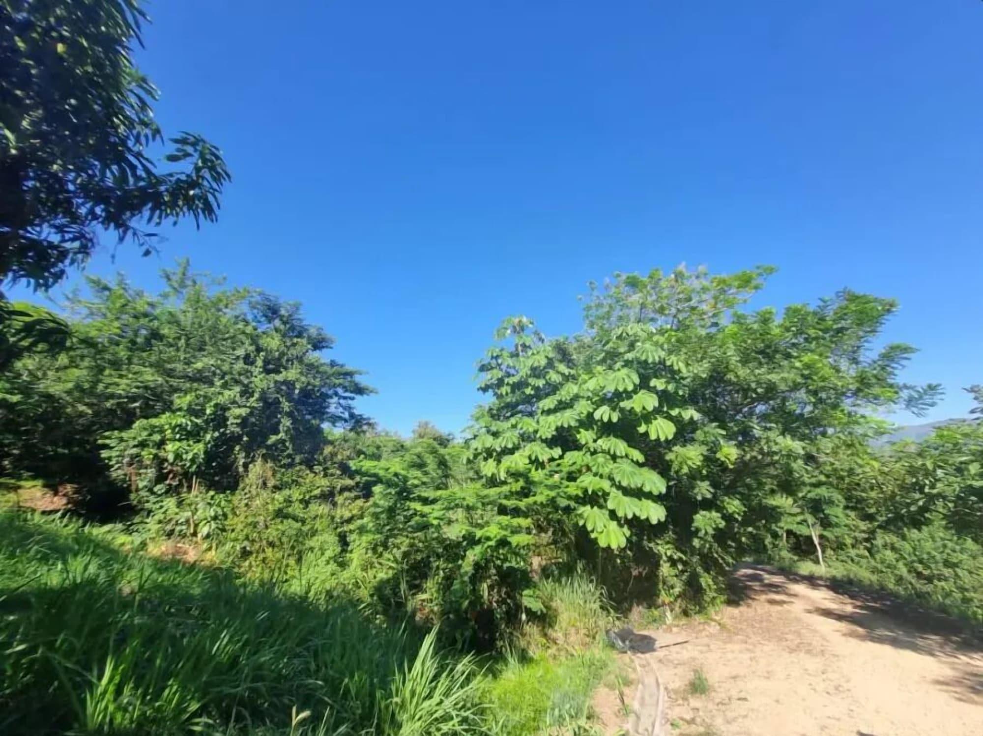 Vista Exterior Selva Serena