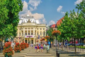 Actividad - Cata de vinos con un sumiller