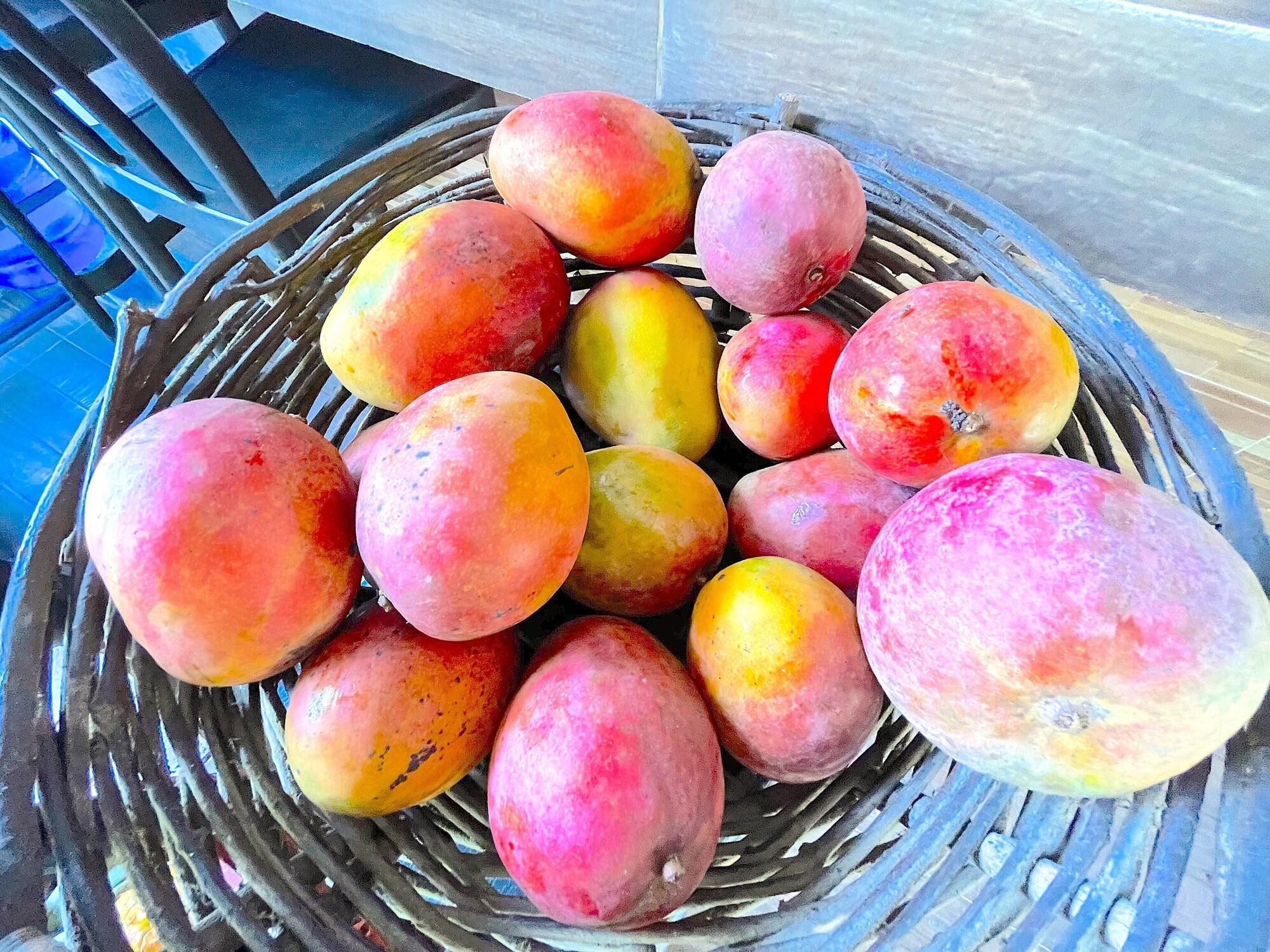 Hotel Caribbean Galaxy hotel BEACH WIFI SPA