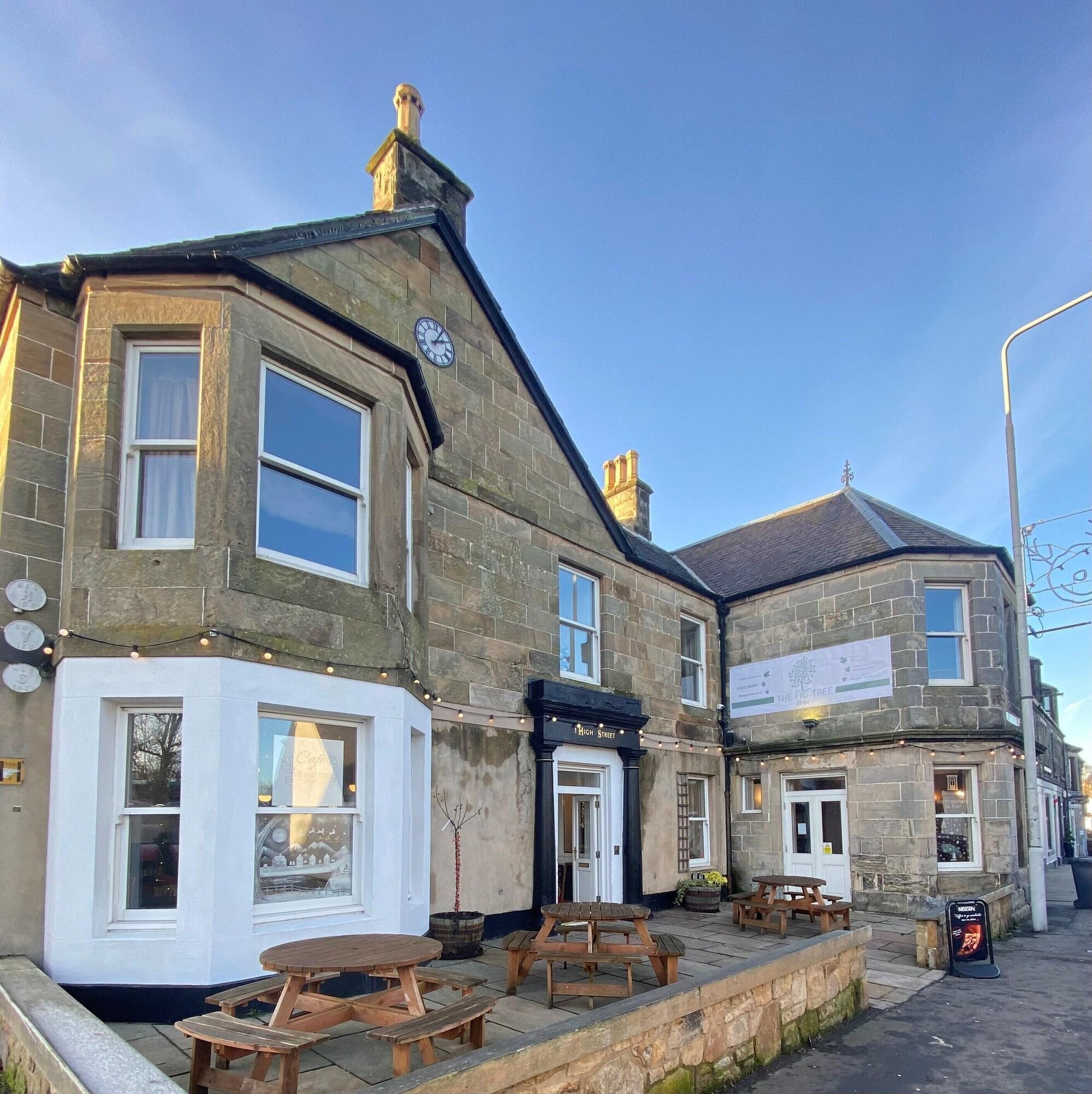 Varios The Fig Tree Markinch