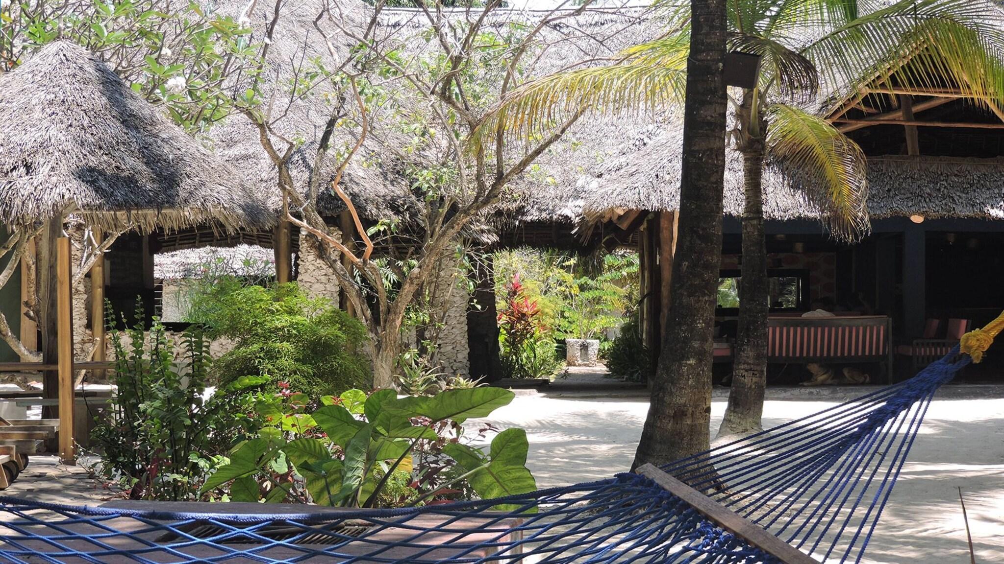 Vista Exterior Paje By Night