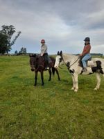 Alojamiento - Estancia Pedro Chico - Hotel Rural