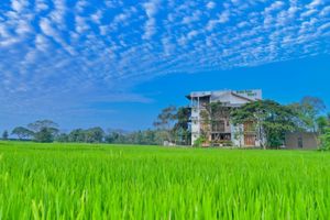 undefined - Green View Resort - Anuradhapura