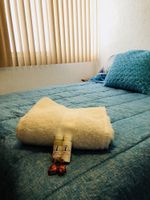 Alojamiento - Casa Mima - Hostel