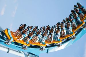 Actividad - Sea World Orlando single day ticket.