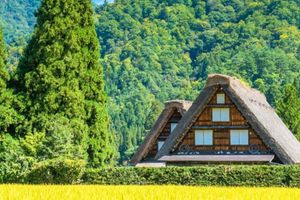 Activity - Takayama & Shirakawago Day Trip