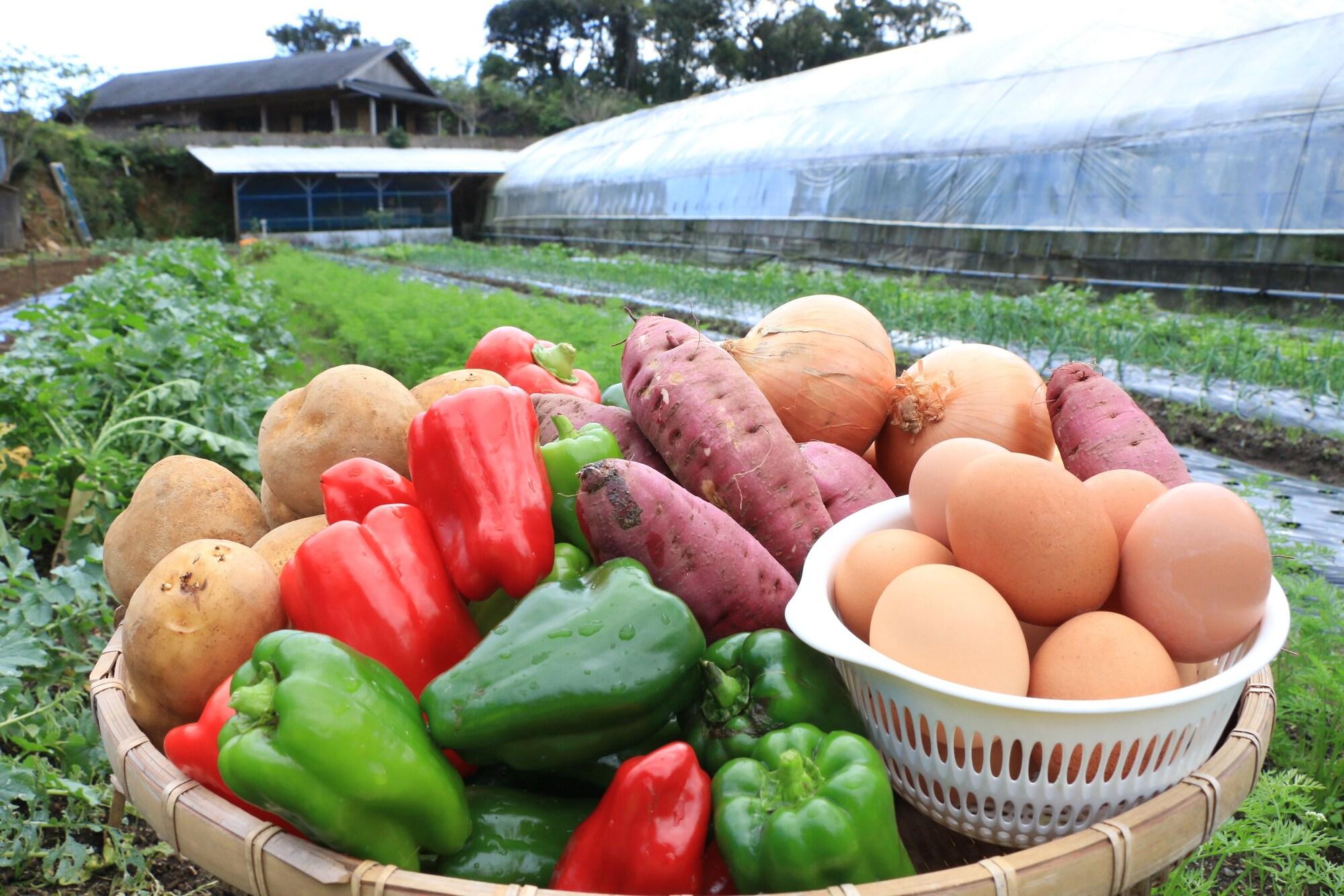 Restaurant Minshuku Maetakeso - Hostel