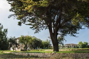 Alojamiento - Villa Marchetti