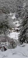 Alquiler Vacacional - SALBEI - enjoy pure nature - even your dog will be happy!