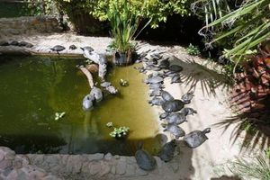 Actividad - Parque de las Aves Agroflori y Palacio Villa Albina - Tour privado