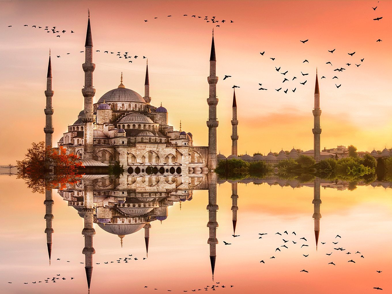 undefined