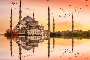 Vuelo - Vuelos a Estambul