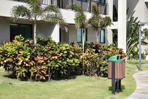 Alojamiento - Eco Life Porto De Galinhas