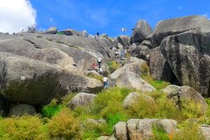 Actividad - Tour por el cerro de La Movediza