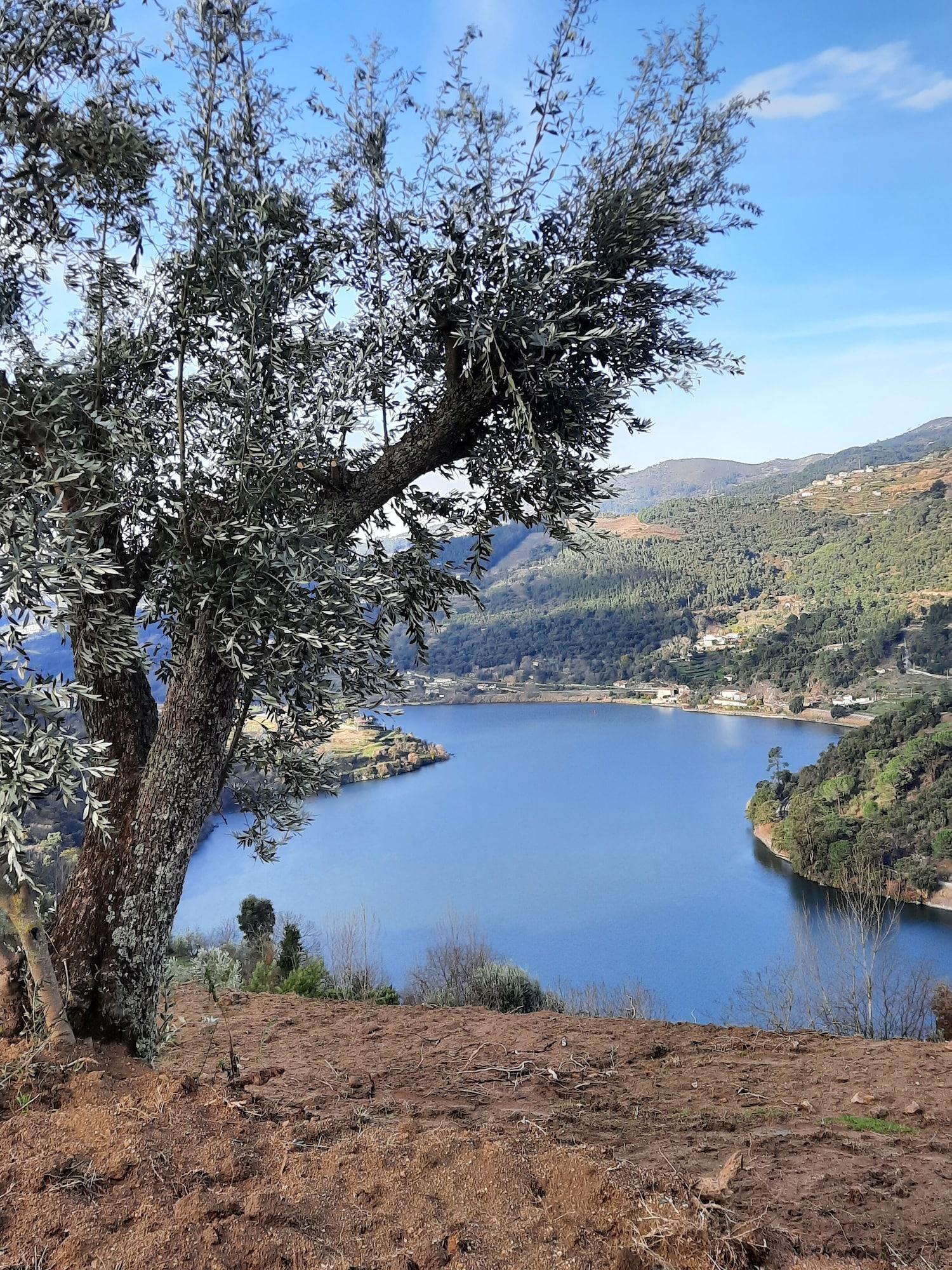 Comodidades del Alojamiento Quinta D'Joanes Douro