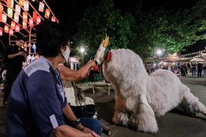 Actividad - Cena Khantoke en el Old Chiangmai Cultural Center