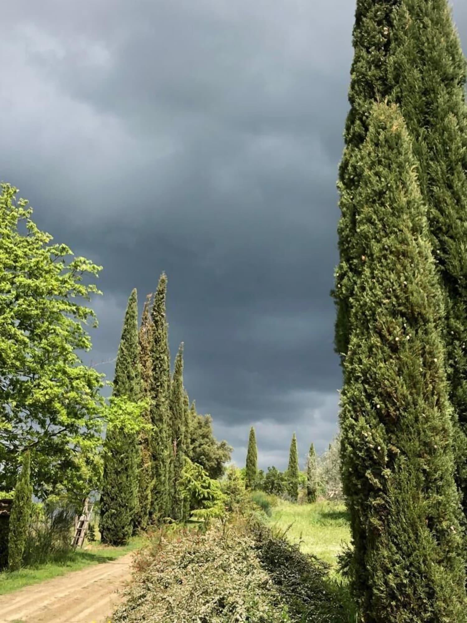 Vista Exterior Podere Campovecchio