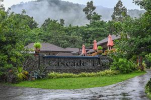 Alojamiento - Cascade Tara