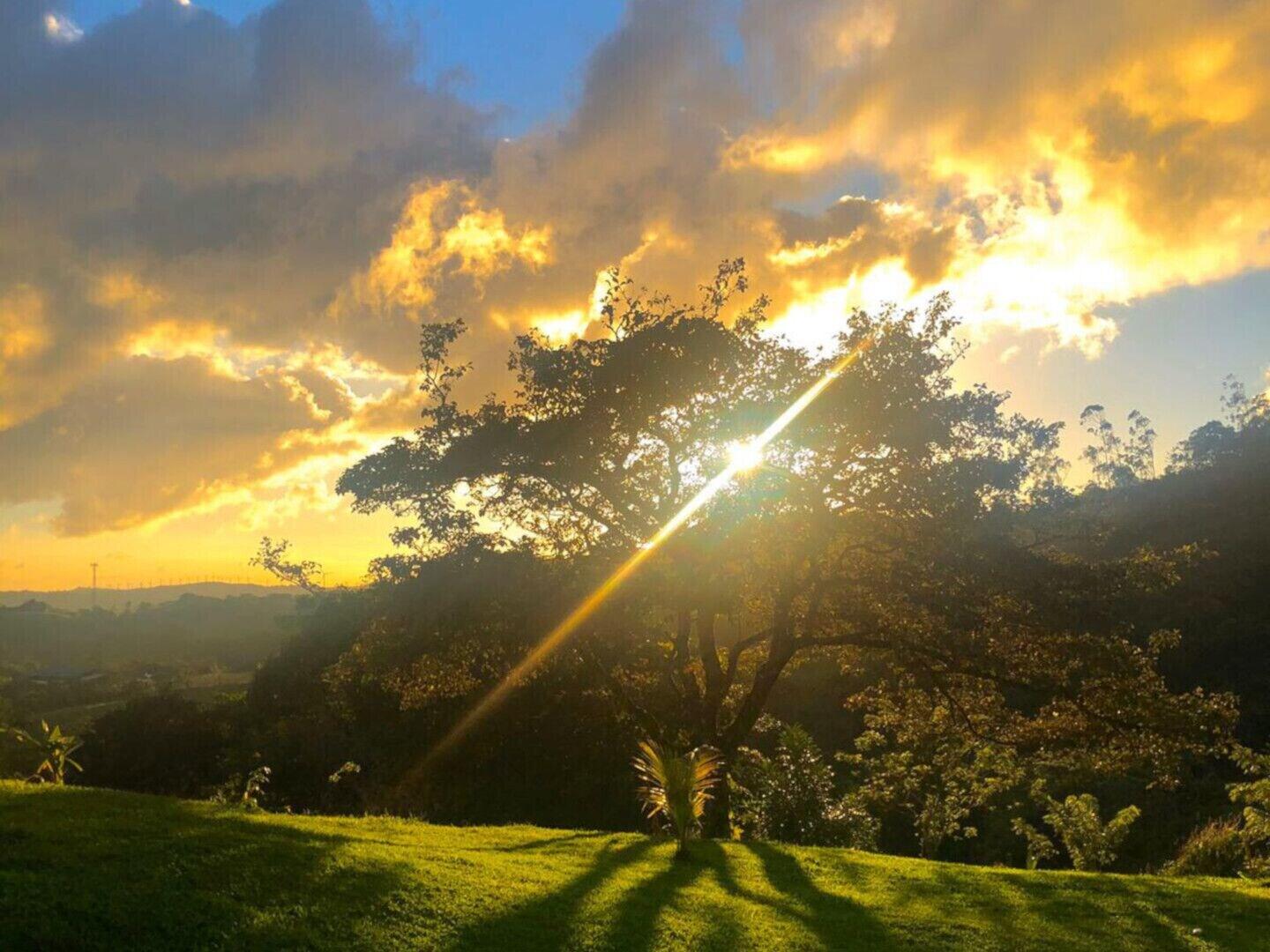 Equipamiento de Habitación Refugium Silent Wings With Natural Pool