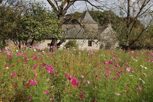 Alojamiento - The Archeologist Home-Chateau Le Mur