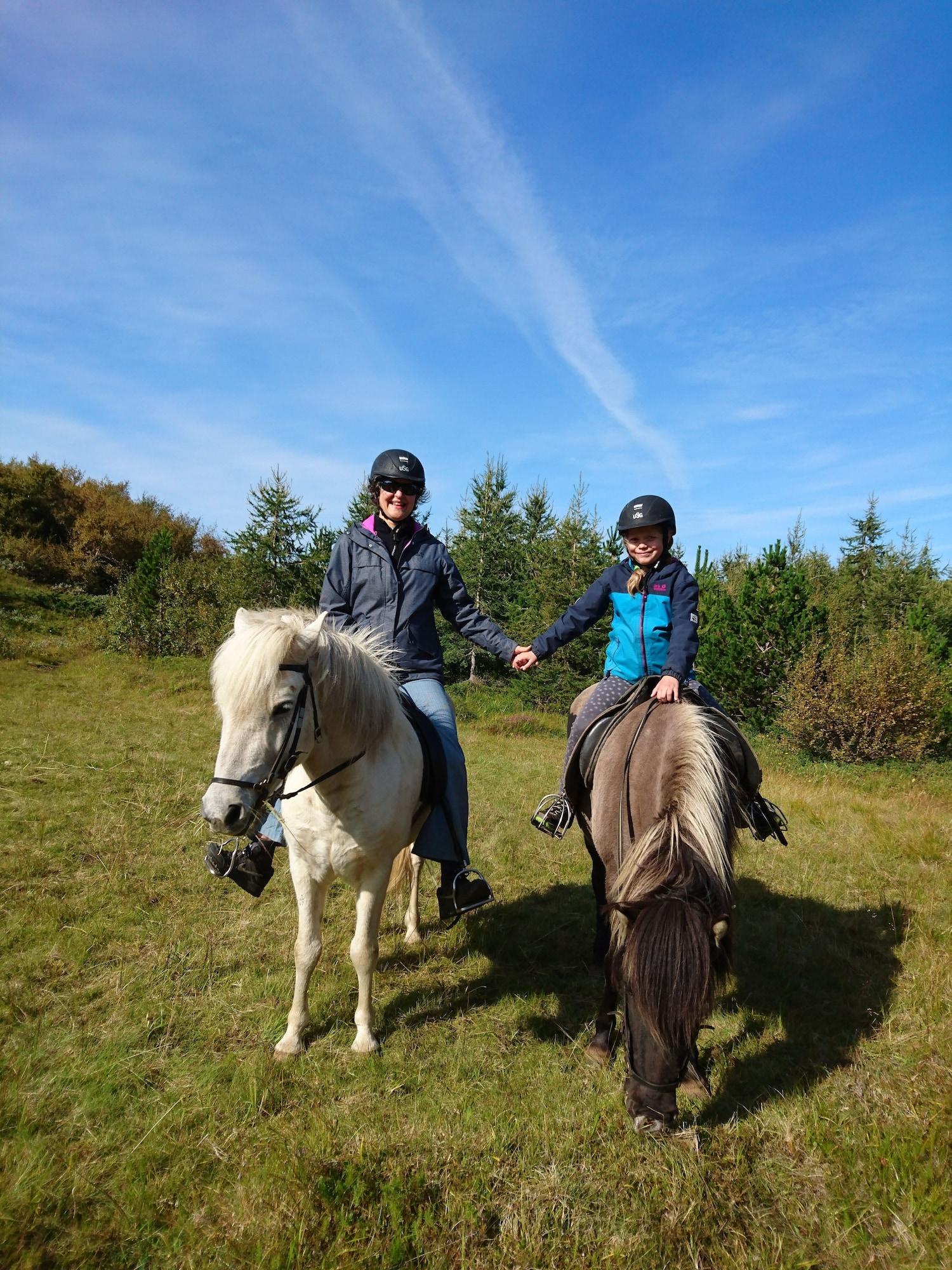 Instalaciones Recreativas Stóra Sandfell Rooms and Cottages