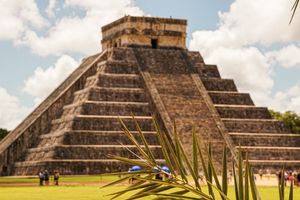 Actividad - CHICHEN EXPRESS