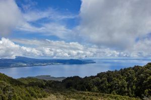 Actividad - Excursión a saltos del Petrohué y volcán Osorno