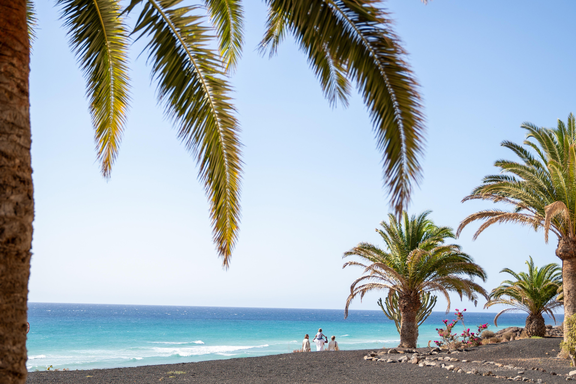 Playa Iberostar Waves Gaviotas Park -All Inclusive