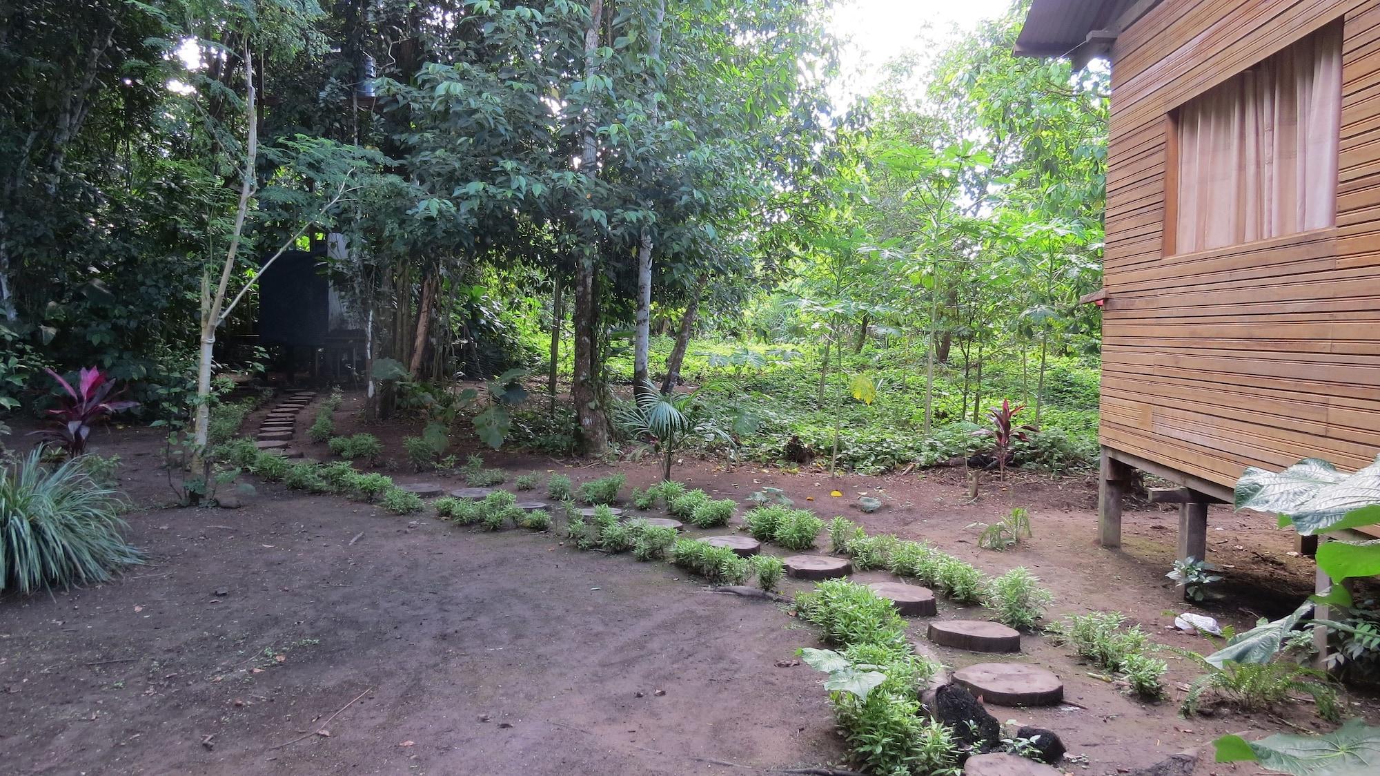 Equipamiento de Habitación Amazonian Oropendola & tambopata
