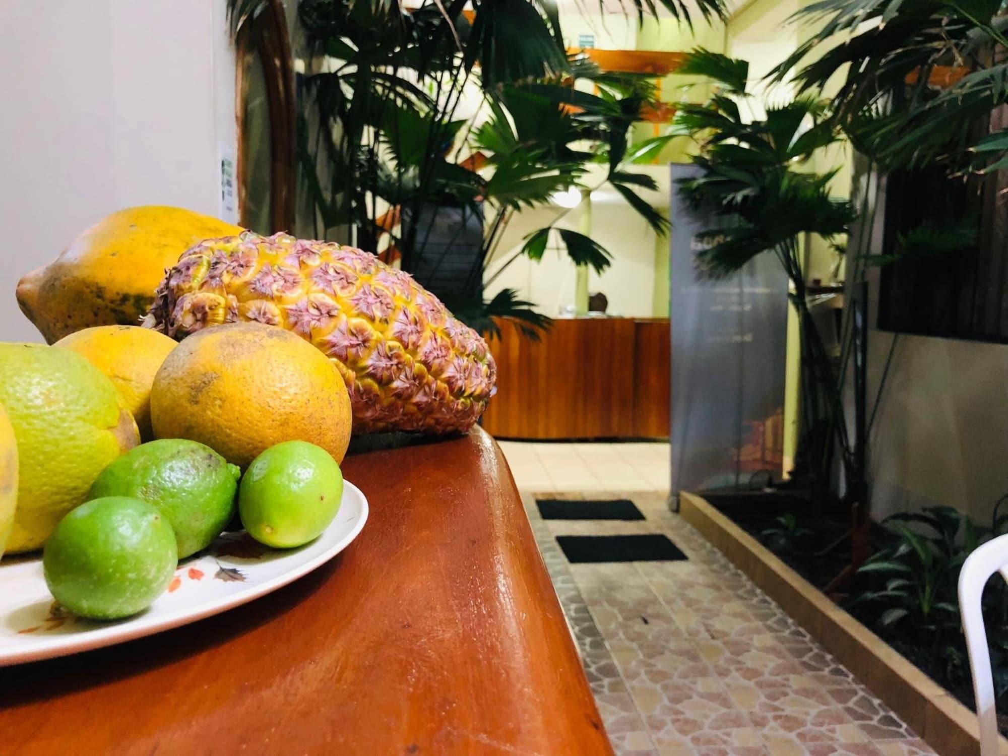 Restaurant Sol de Selva Hostal