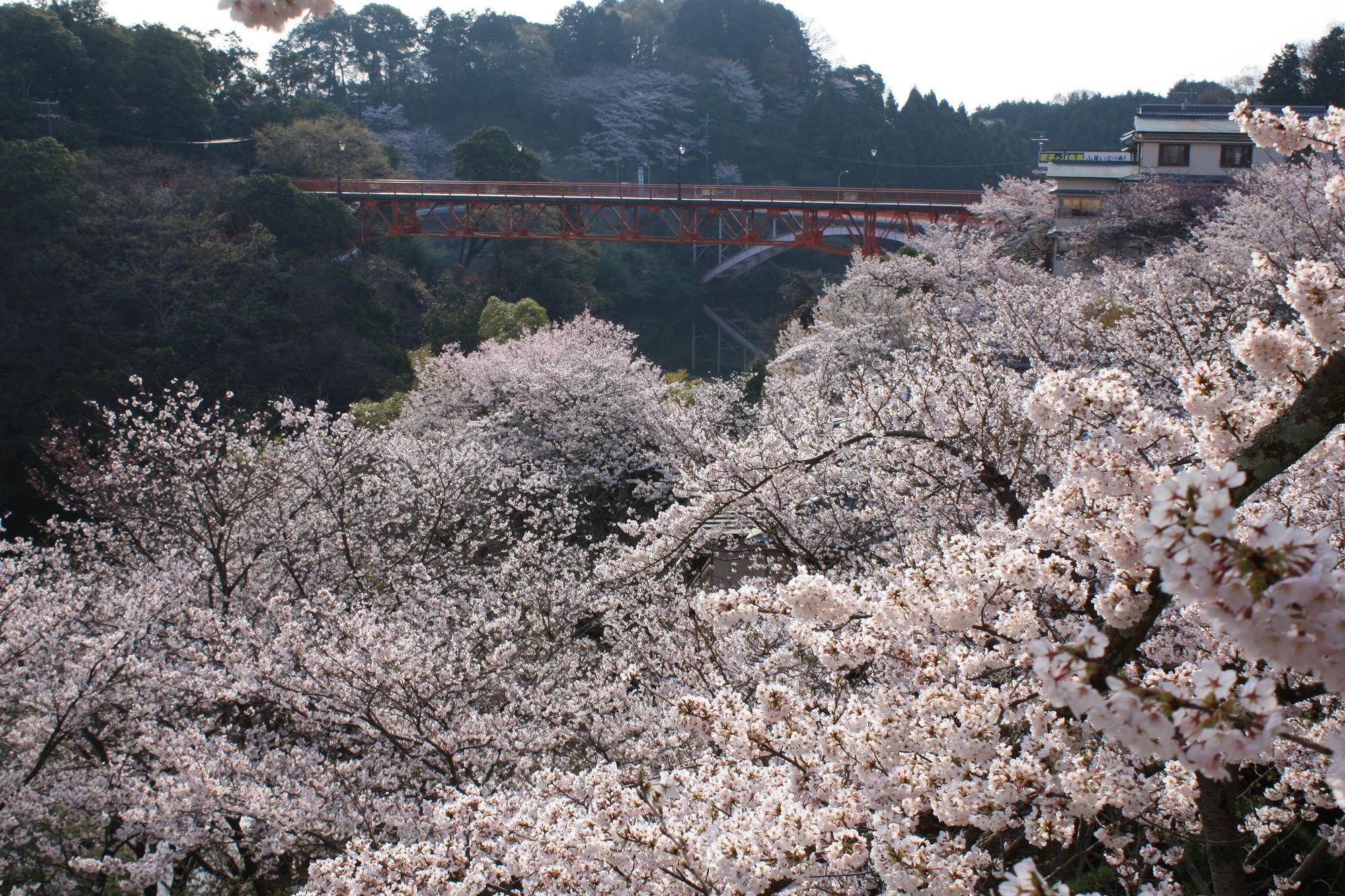 Comodidades del Alojamiento Shigisan Kanko Hotel