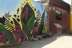 Actividad - Tour por Villa El Salvador