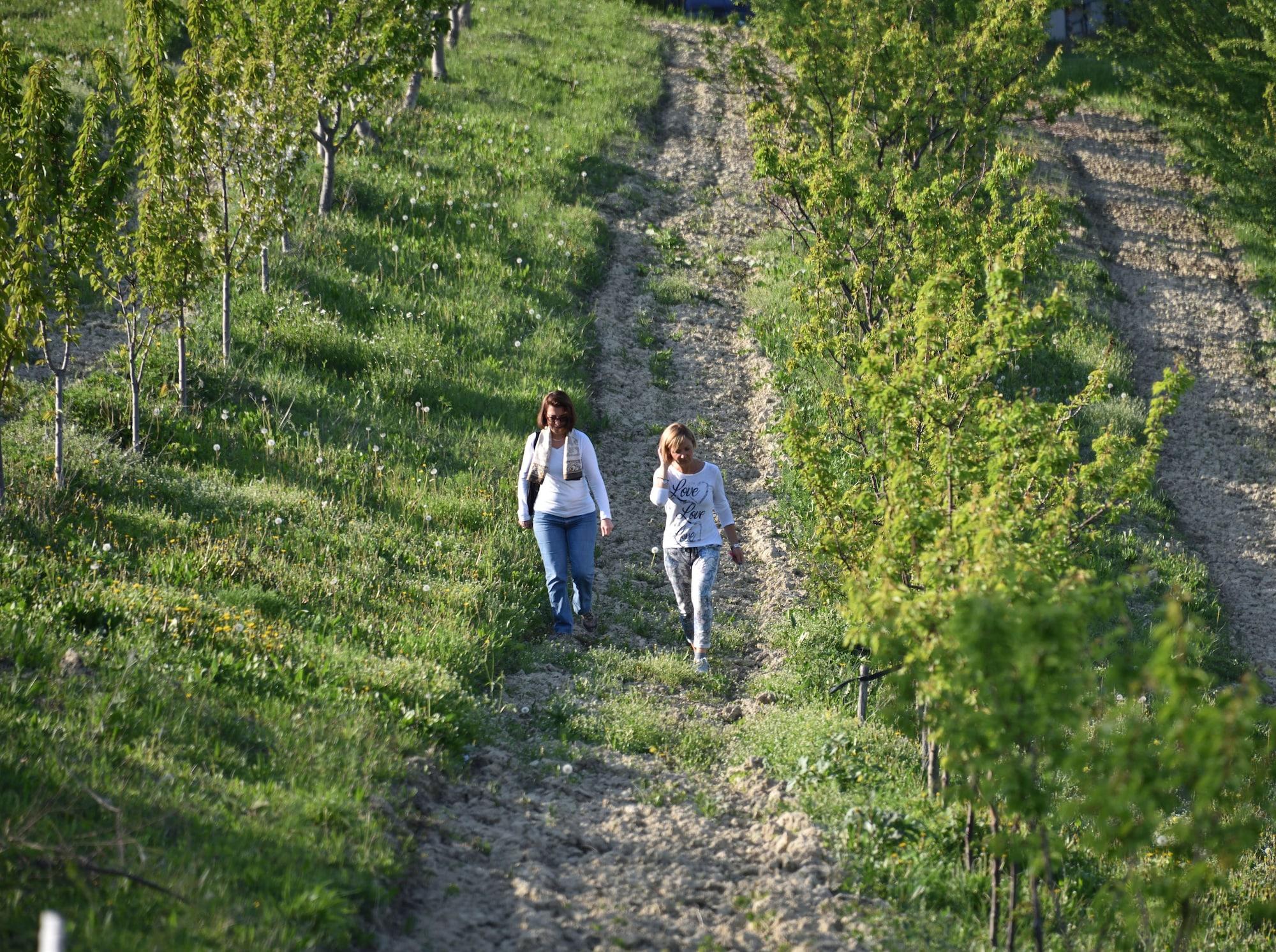 Instalaciones Recreativas CasaMatilda Agriturismo Langhe