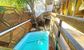 Pool view from Mr Pakal Tulum accommodation - Photo 2