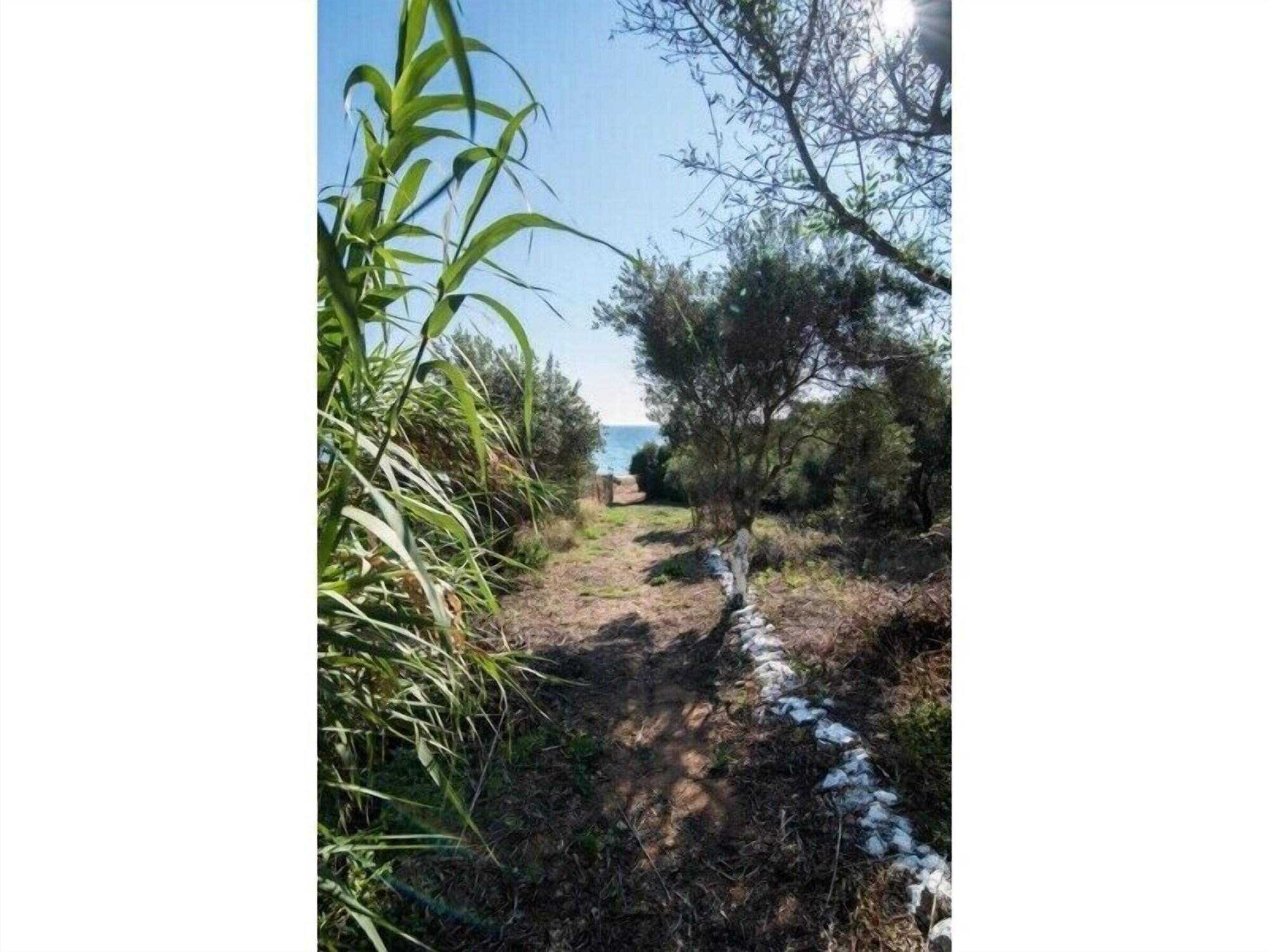 Playa Golden Sand Apartments