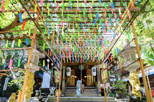Passeio - Kyushu Highlights: Yufuin, Beppu and Zen Temples Day Tour