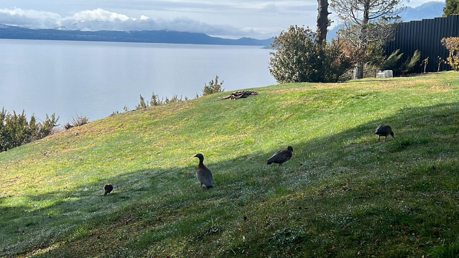 Playa Costa Brava Apart Hotel