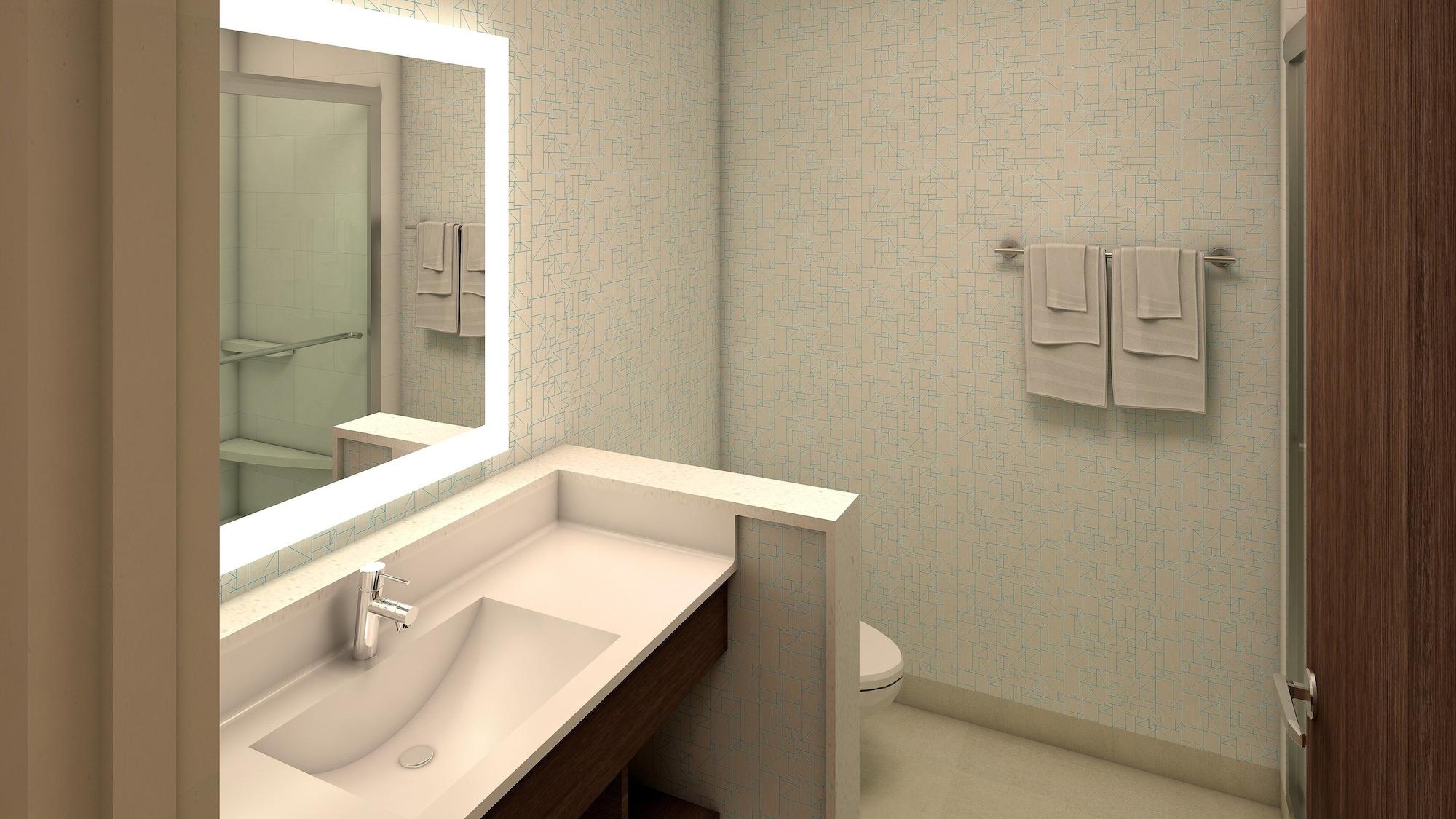 Equipamiento de Habitación Holiday Inn Express & Suites Orland Park - Mokena by IHG