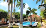 Tulipanes Cancun