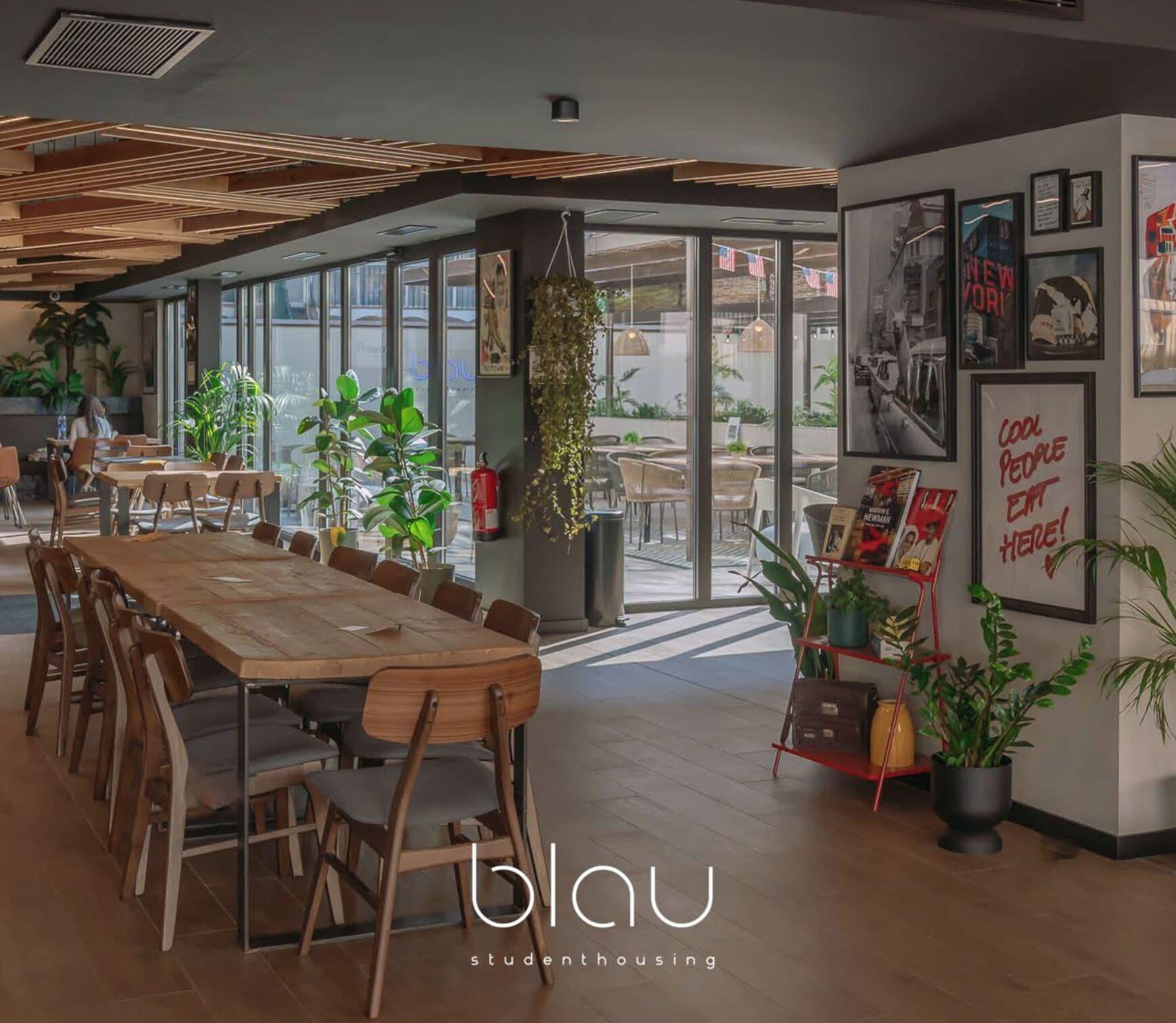 Restaurant BLAU Student Housing & Language Academy