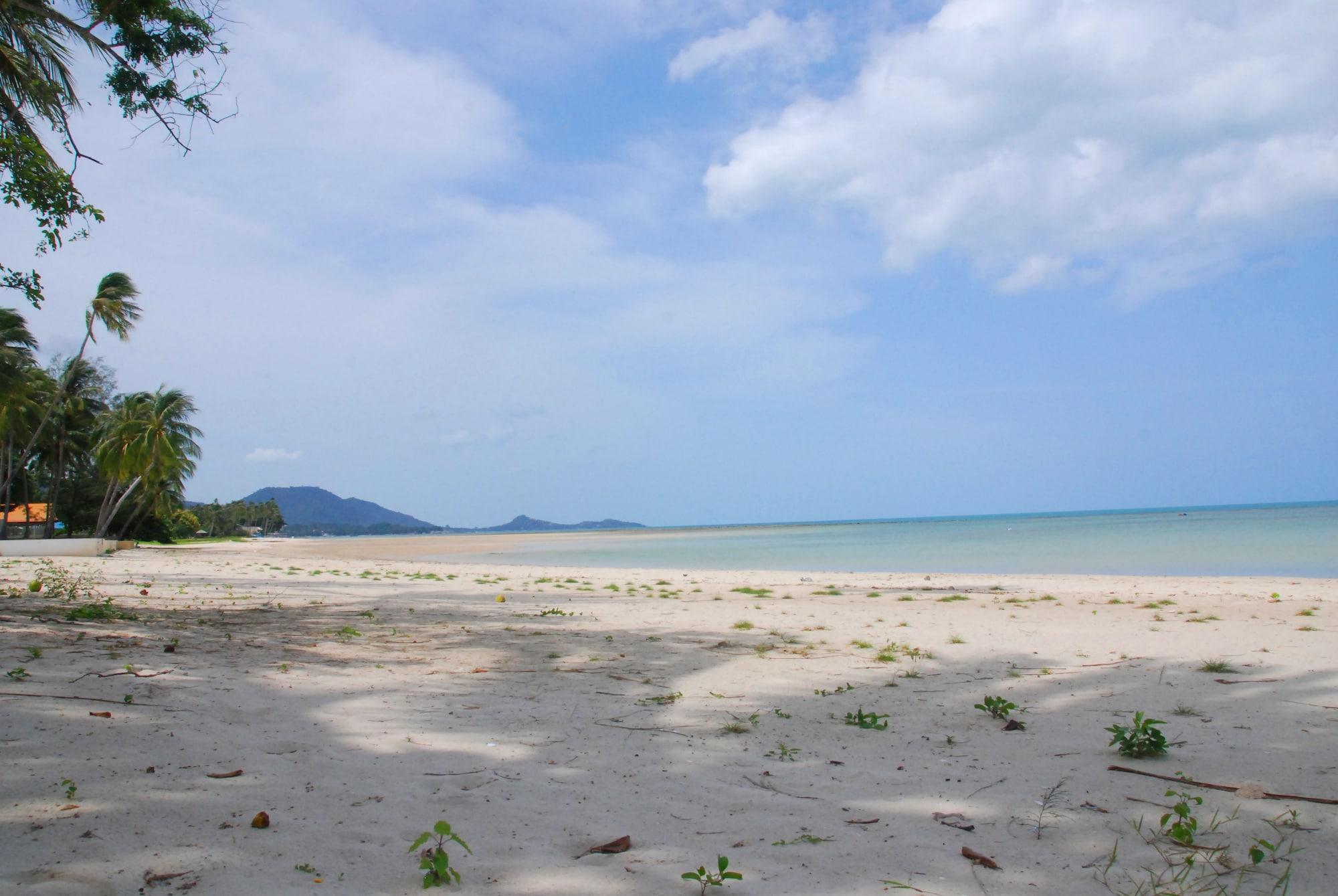 Playa Laura's Guest House - adult only -