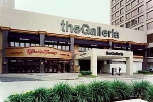 Alquiler Vacacional - Central Haven: Prime Location near Medical Center, Downtown, & NRG