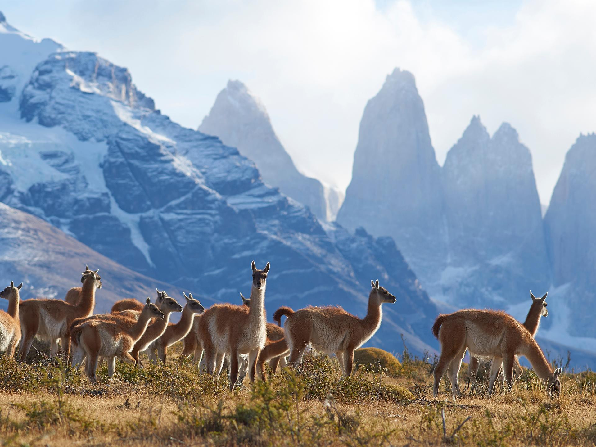 Hotel del Paine, Torres del Paine – Preços atualizados 2024