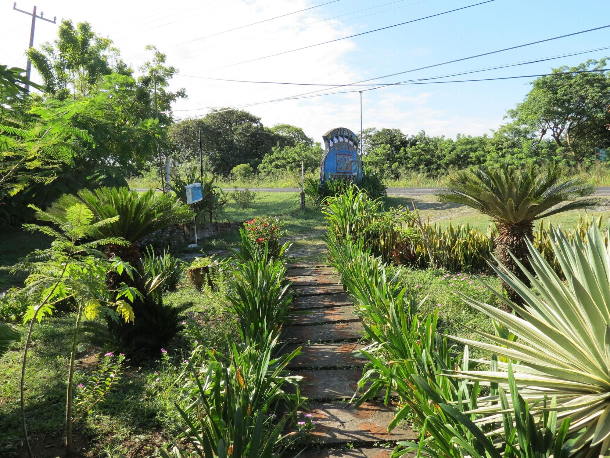 Equipamiento de Habitación Eco Coco Loco by Rotamundos