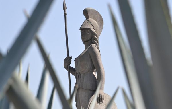 NH Guadalajara Studios - Hoteles en Colomos Providencia de Guadalajara