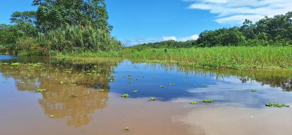 Varios Amazon Tropical Expeditions